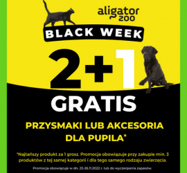 Regulamin promocji "Black Week 2022"