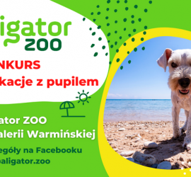 Regulamin konkursu “Wakacje z pupilem w Aligator ZOO - Galeria Warmińska, Olsztyn”