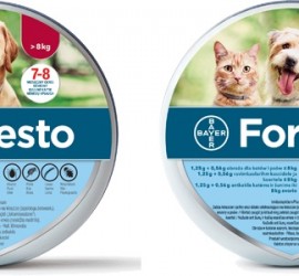 Foresto obroża dla psów i kotów - Innowacja w ochronie twojego pupila