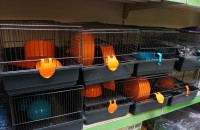 DSC09235.JPG