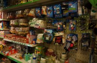 DSC09213.JPG