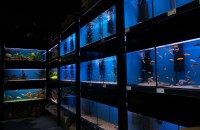 DSC09211.JPG