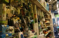 DSC09226.JPG